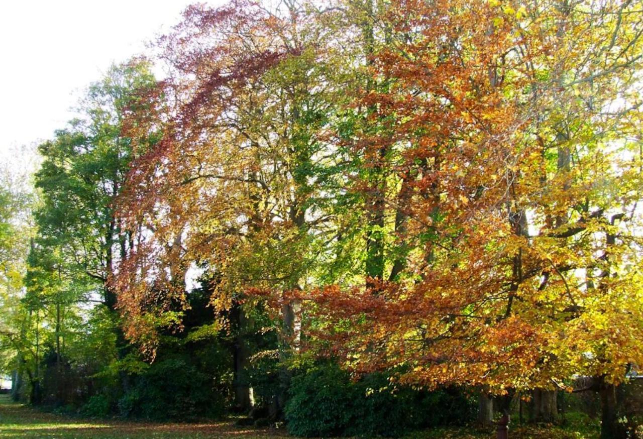 Maison Charmante A Ryes Avec Jardin Clos Et Acces Pmr 외부 사진